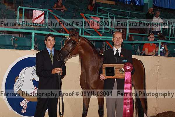 Proof 09yn-03001