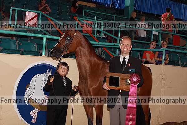 Proof 09yn-03002