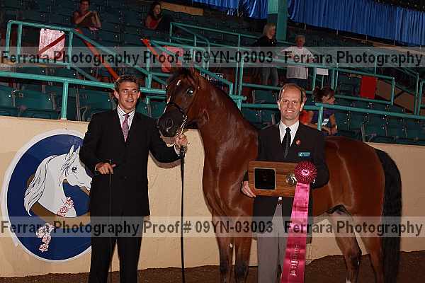 Proof 09yn-03003