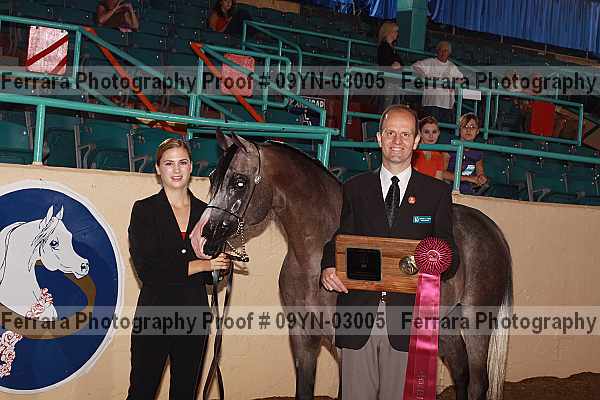 Proof 09yn-03005