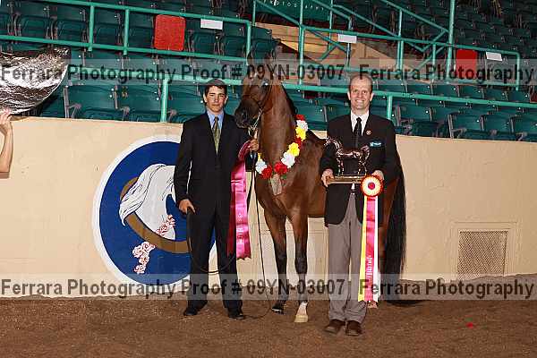Proof 09yn-03007