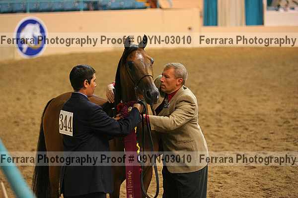 Proof 09yn-03010