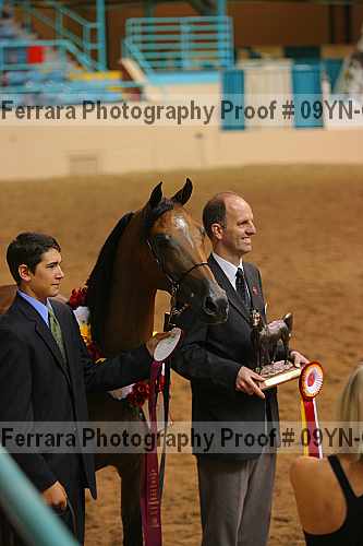 Proof 09yn-03012