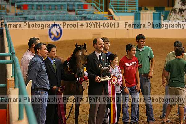 Proof 09yn-03013