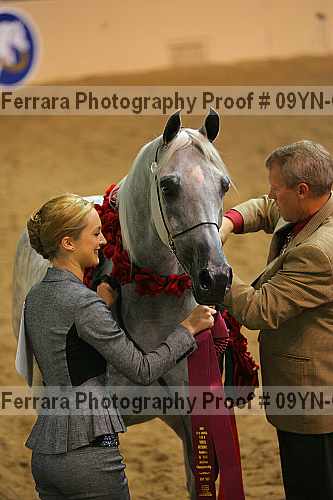 Proof 09yn-03021