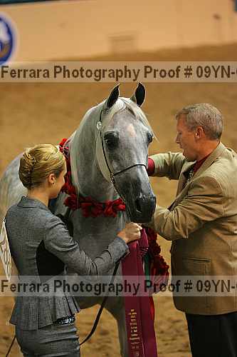Proof 09yn-03022