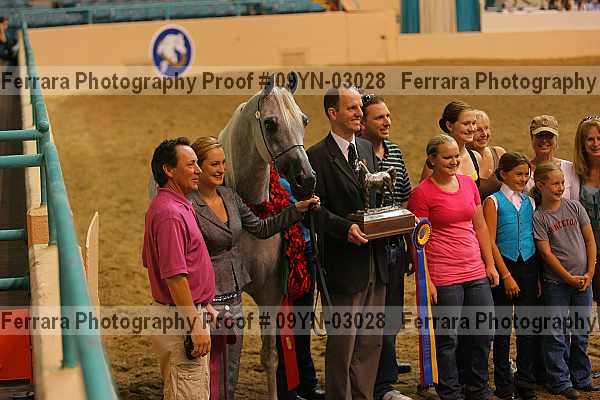 Proof 09yn-03028