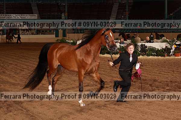 Proof 09yn-03029