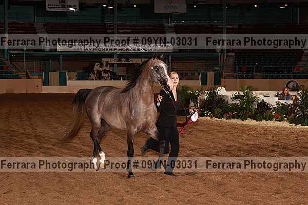 Proof 09yn-03031