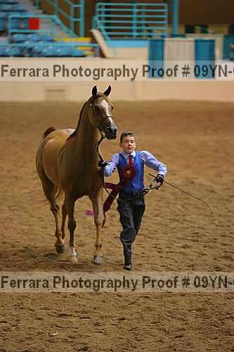 Proof 09yn-03032