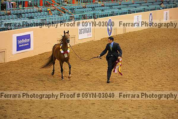 Proof 09yn-03040