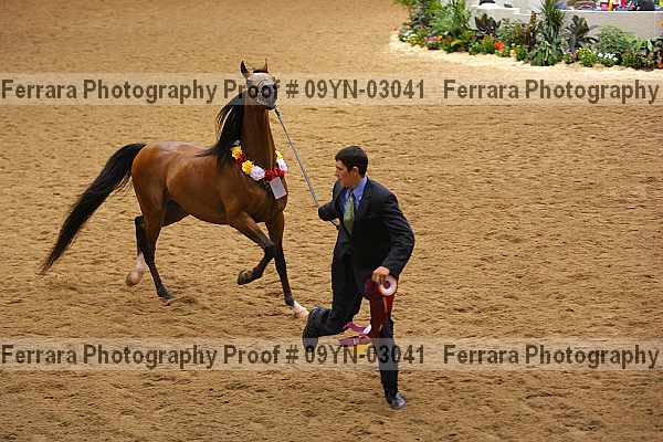 Proof 09yn-03041