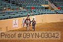 09yn-03042 proof