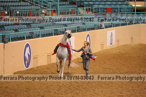 Proof 09yn-03043
