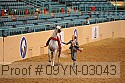 09yn-03043 proof