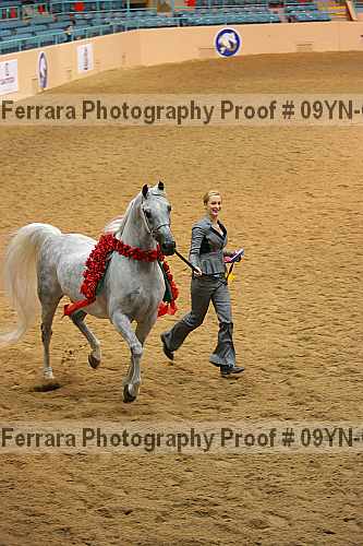Proof 09yn-03044