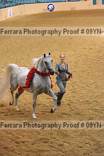 Proof 09yn-03045