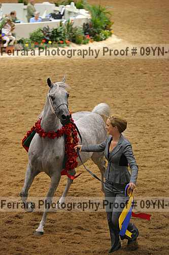 Proof 09yn-03046