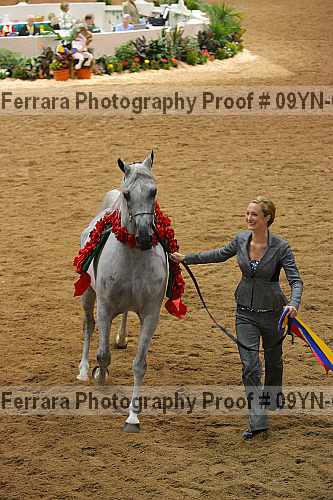 Proof 09yn-03047