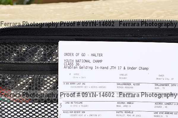 Proof 09yn-14602