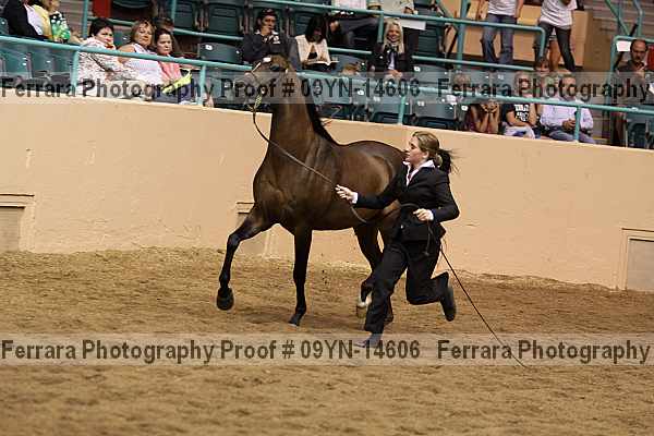Proof 09yn-14606