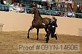 09yn-14606 proof