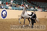 09yn-14613 proof