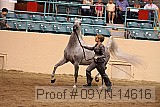 09yn-14616 proof