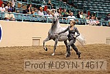 09yn-14617 proof