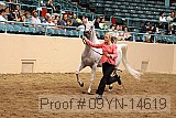 09yn-14619 proof