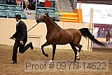 09yn-14622 proof