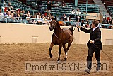 09yn-14630 proof