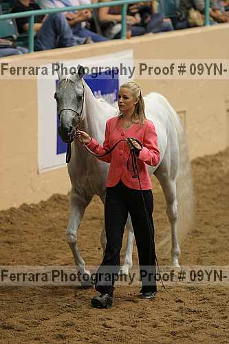 Proof 09yn-14631