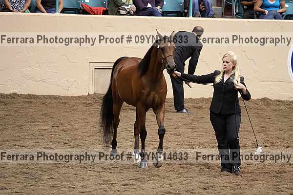 Proof 09yn-14633