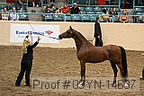 09yn-14637 proof