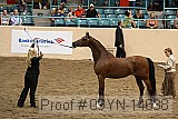 09yn-14638 proof