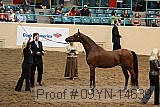 09yn-14639 proof