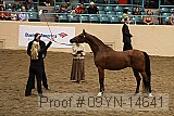 09yn-14641 proof