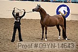 09yn-14643 proof