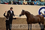 09yn-14648 proof