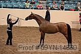 09yn-14660 proof
