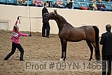 09yn-14663 proof