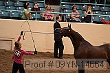 09yn-14664 proof