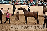 09yn-14665 proof