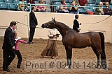 09yn-14666 proof