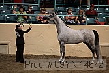 09yn-14672 proof