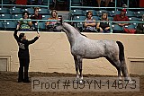 09yn-14673 proof