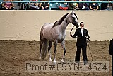 09yn-14674 proof