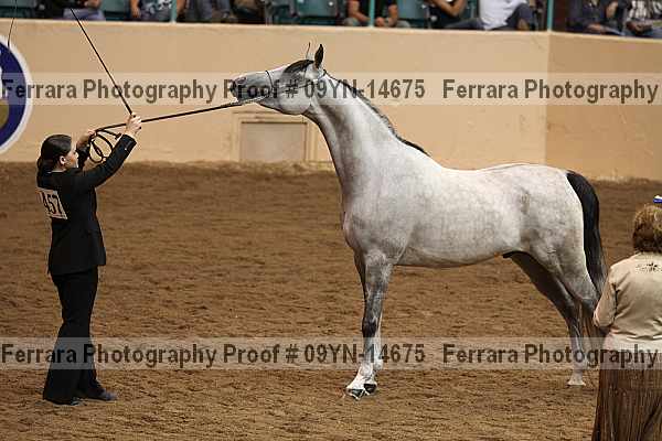 Proof 09yn-14675
