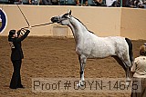 09yn-14675 proof